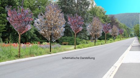 Schematische Darstellung der zuknftigen Baumbepflanzung entlang der Schwarzburger Strae.