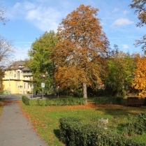 Park an der Wirbacher Strae - Bildautor: Matthias Pihan, 20.10.2021