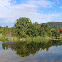 Am Teich der Landessportschle - Bildautor: Matthias Pihan, 21.09.2023