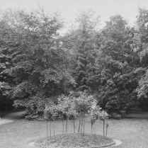 Im Park der Villa Emilia - Bildautor: Albert Schmiedeknecht, 1898  Stadt Bad Blankenburg