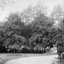Im Park der Villa Emilia - Bildautor: Albert Schmiedeknecht, 1898  Stadt Bad Blankenburg