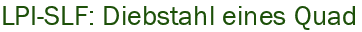 LPI-SLF: Diebstahl eines Quad