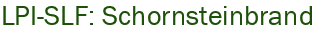 LPI-SLF: Schornsteinbrand
