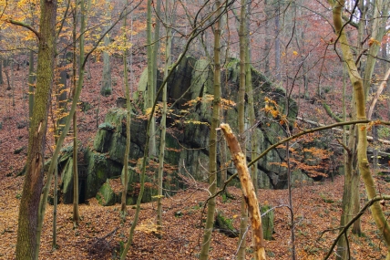 Der Napoleonsitz im Werretal - Bildautor: Matthias Pihan, 15.11.2014