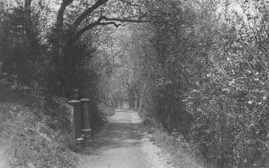 Der Villenweg an der Rhrenbank um 1900. - Bildautor: Paul Toennies