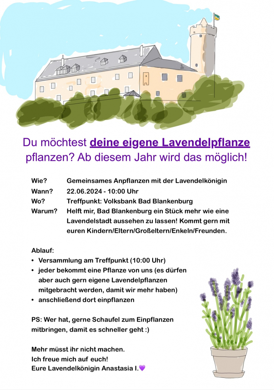 Gemeinsames Anpflanzen mit der Lavendelknigin am 22.06.2024