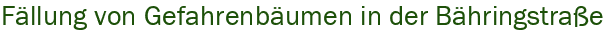 F�llung von Gefahrenb�umen in der B�hringstra�e