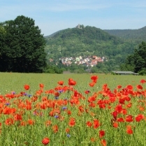 Blick vom Windorf - Bildautor: Matthias Pihan, 07.06.2016