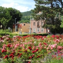 Am Rosenbeet im Park - Bildautor: Matthias Pihan, 29.06.2016