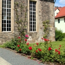 An der Stadtkirche - Bildautor: Matthias Pihan, 18.07.2016