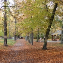 Im Stadtpark, 31.10.2016