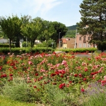 Bilder des Jahres 2017