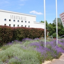 An der Stadthalle - Bildautor: Matthias Pihan, 21.06.2017