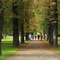 Kastanienallee im Stadtpark - Bildautor: Matthias Pihan, 14.08.2017