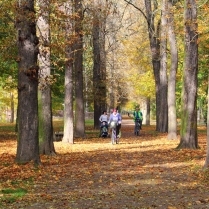 Im Stadtpark - Bildautor: Matthias Pihan, 16.10.2017