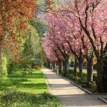 Im Park an der Schwarzburger Strae - Bildautor: Matthias Pihan, 22.04.2018