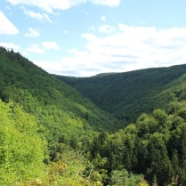 Blick von der Naturschutzstation ins Schwarzatal - Bildautor: Matthias Pihan, 10.08.2018