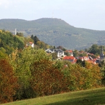 Bilder des Jahres 2018