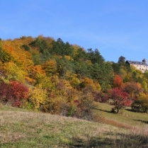 Herbstimpressionen vom Hausberg - Bildautor: Matthias Pihan, 05.10.2018