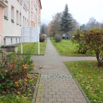 Bilder des Jahres 2018