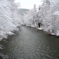 Die Schwarza - Blick von der Badewldchenbrcke - Bildautor: Matthias Pihan, 10.01.2019