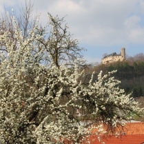 Burg Greifenstein - Bildautor: Matthias Pihan, 07.04.2019