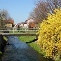 An der Rinne am alten Friedhof - Bildautor: Matthias Pihan, 16.04.2019