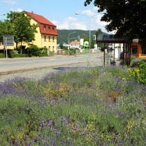 Am Bahnhof - Bildautor: Matthias Pihan, 17.06.2019