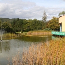 Am Teich der Landessportschule - Bildautor: Matthias Pihan, 19.09.2019