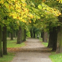 Kastanienallee im Stadtpark - Bildautor: Matthias Pihan, 01.10.2019