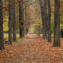 Im Stadtpark - Bildautor: Matthias Pihan, 07.11.2019