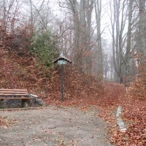 Am Burgweg - Bildautor: Matthias Pihan, 01.12.2019