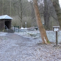 Bilder des Jahres 2020