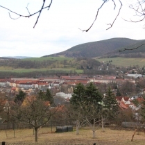 Blick vom Burgweg zur Siedlung - Bildautor: Matthias Pihan, 18.02.2020