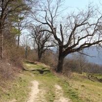 Auf dem Frbelwanderweg - Bildautor: Matthias Pihan, 24.03.2020