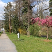 Im Park an der Schwarzburger Strae - Bildautor: Matthias Pihan, 12.04.2020