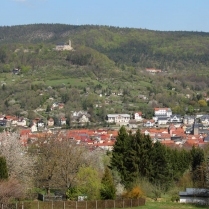 Blick von der Gemeinde - Bildautor: Matthias Pihan, 19.04.2020