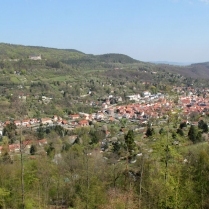 Blick vom Beulwitz-Denkmal - Bildautor: Matthias Pihan, 19.04.2020