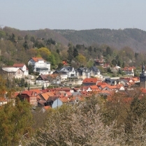 Blick von der Viehtreibe - Bildautor: Matthias Pihan, 19.04.2020