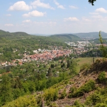 Bilder des Jahres 2020