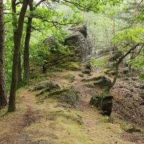 Am Wendelstein - Bildautor: Matthias Pihan, 24.05.2020