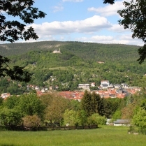 Blick vom Gemeindeberg - Bildautor: Matthias Pihan, 29.05.2020