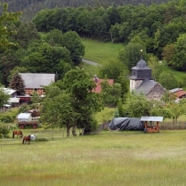 Oberwirbach - Bildautor: Matthias Pihan, 05.06.2020