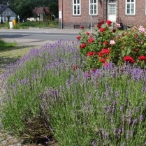 Bilder des Jahres 2020