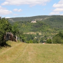 Am Goldberg - Bildautor: Matthias Pihan, 22.07.2020