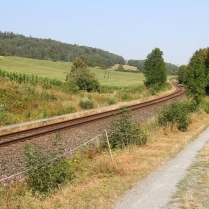 Rinnetal-Radweg bei Watzdorf - Bildautor: Matthias Pihan, 08.08.2020