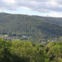 Bilder des Jahres 2020