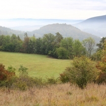 Am Frbelwanderweg mit Blick zum Hausberg - Bildautor: Matthias Pihan, 30.09.2020