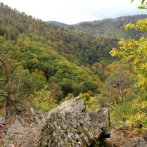 Blick ins Schwarzatal - Bildautor: Matthias Pihan, 18.10.2020