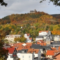Bilder des Jahres 2020